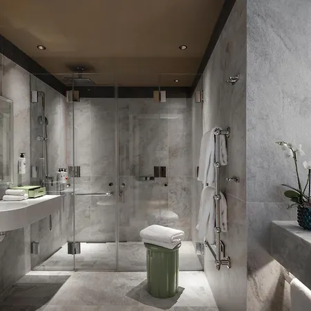 Mandarin Oriental Savoy, Отель 5*